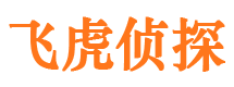 枞阳市婚外情调查